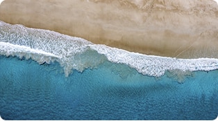 sea sea